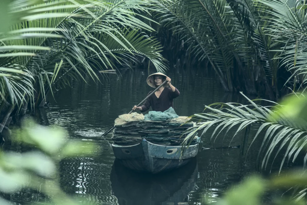 boat in the nipa palm forest