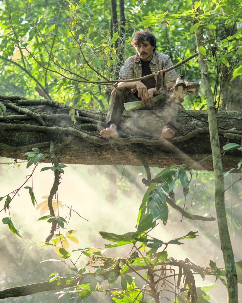 stuck up in a tree